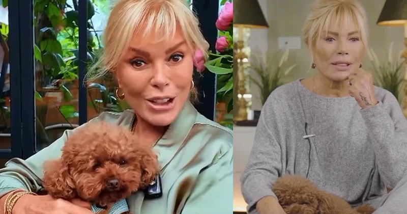 Köpeği AVM’de tuvalet yaptı iddiası: Semiramis Pekkan’dan yanıt Sözcü Gazetesi