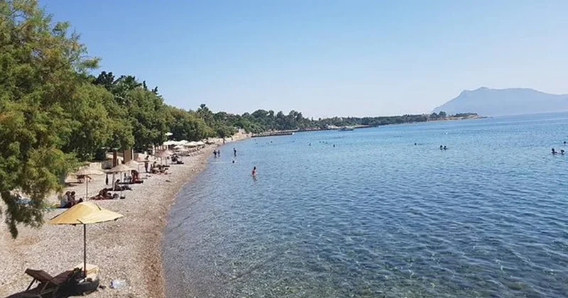 Son kupon araziler satışta Sözcü Gazetesi