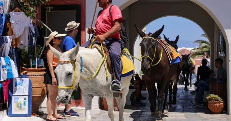 Burada araba kullanmak yasak! Ulaşım eşeklerle sağlanıyor Sözcü Gazetesi