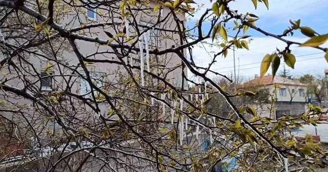 Yozgat ta çiftçiler zirai don tehlikesine karşı uyarıldı Yozgat Haberleri