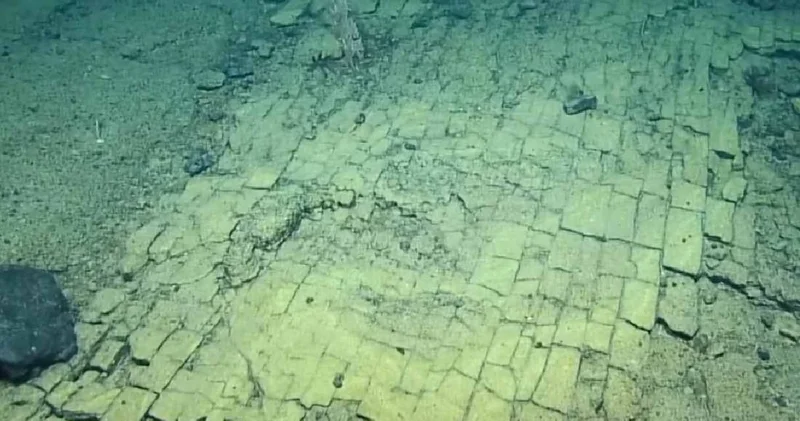 Okyanusun dibinde yol keşfettiler