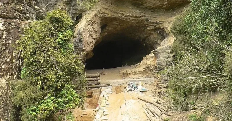 500 metre derinlikteki mağaranın tavanında 50 tonluk yaratığın ayak izleri bulundu Sözcü Gazetesi