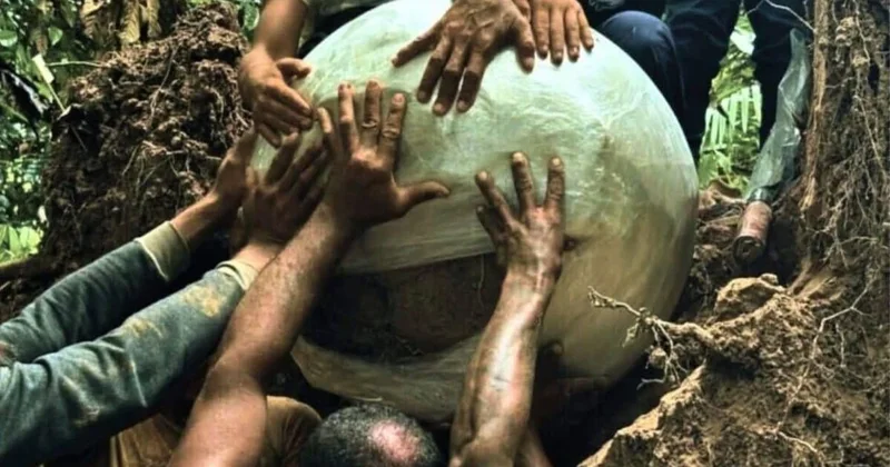 Ormanın derinliklerinde gizemli dev toplar bulundu: Herkes altın çıkacak sandı bakın ne çıktı Sözcü Gazetesi