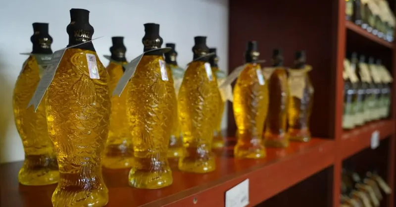 Zeytinyağında maliyet artışı fiyatlara yansımayabilir