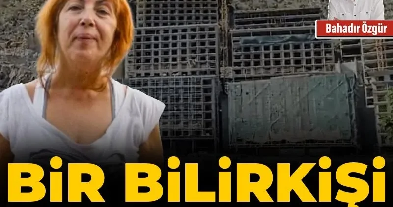 Bir bilirkişi skandalı daha!