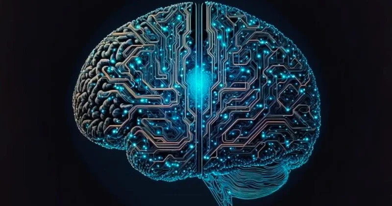 Dijital köyün yeni muhtarı: Algoritmalar Düşünce Günlüğü Haberleri