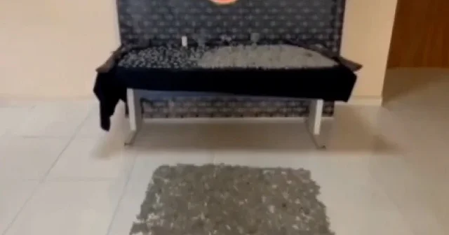 Hatay da tarihi eser niteliği taşıdığı değerlendirilen 13 bin 78 parça ele geçirildi VİDEO İZLE