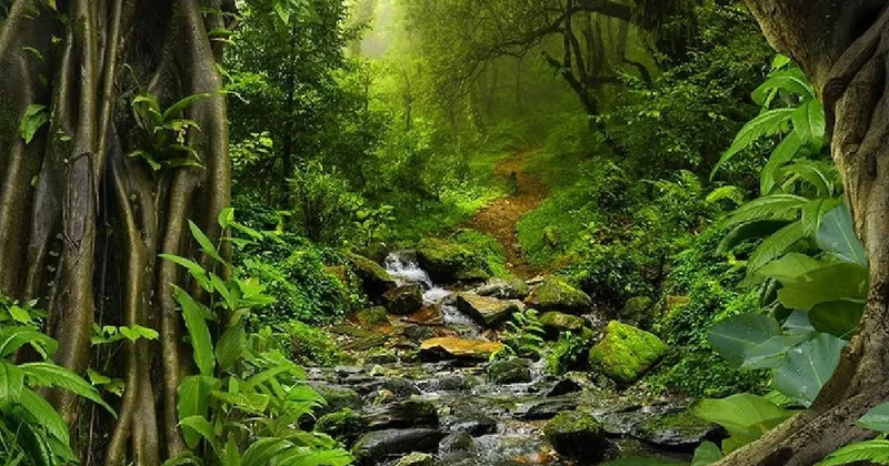 Dünyanın en az uyuyan canlısı: Günde sadece 30 dakika uyuyor Sözcü Gazetesi