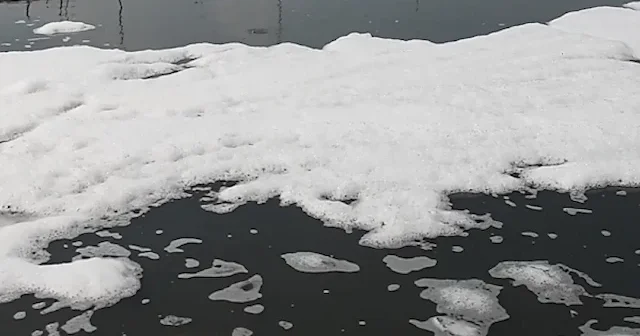 Hindistan’ın başkenti Yeni Delhi’de çevre felaketi: Yamuna Nehri zehirli köpükle kaplandı VİDEO İZLE