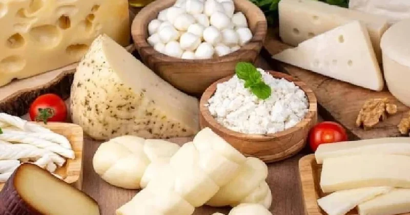 Ne kaşar ne de beyaz peynir: Türkiye nin en faydalı peyniri belli oldu Sözcü Gazetesi