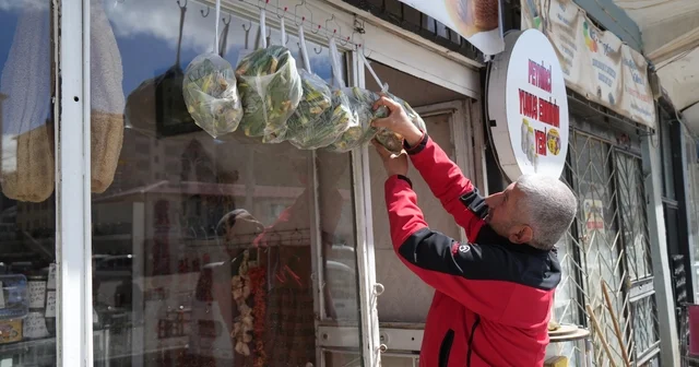 Muş ta askıda çiriş otu uygulaması Muş Haberleri
