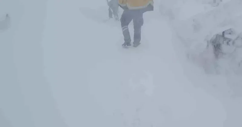 İlkbaharda kar şaşkınlığı, belde yolu ulaşıma kapandı