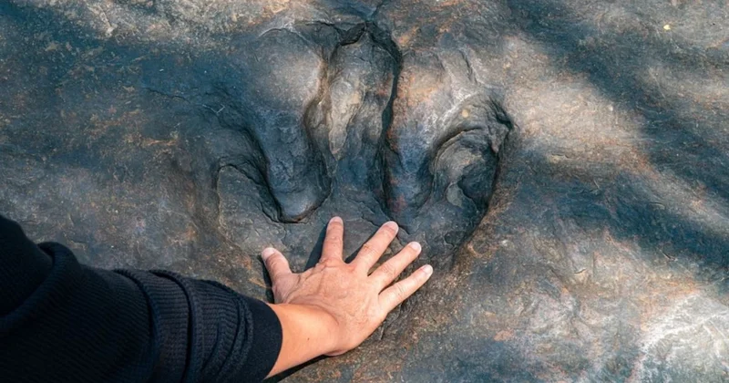 Saklı kalan hikaye gün yüzüne çıktı: Aslında yalnız gezmiyorlarmış Sözcü Gazetesi