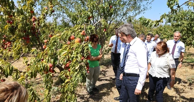 BUÜ, ziraat ve ormancılık alanında dünyada ilk 500 de Bursa Haberleri
