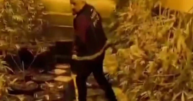 Ankara polisi, Uyuşturucu ile Mücadelede yeni bir NarkoAsayiş ortak çalışma başlattı VİDEO İZLE