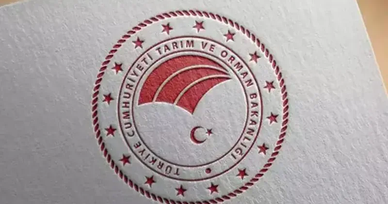 Tarım ve Orman Bakanlığı: Kıvırcık marulların tarlada koyunlara yem edildiği iddiası dezenformasyon