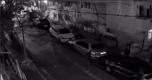 Avcılar’da başıboş köpek teröründen canını araçların üzerine çıkarak kaçtı