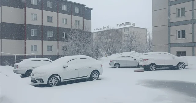 Bitlis nisan ayında yeniden beyaza büründü Bitlis Haberleri