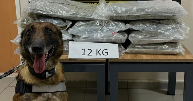 İstanbul dan Ankara ya uyuşturucu götürüyordu, Düzce de yakalandı 12 kilogram uyuşturucu madde ele geçirildi Düzce Haberleri