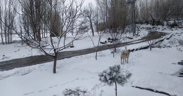 Iğdır da nisan sürprizi: Yüksek kesimlerde kar, merkezde yağmur etkili Iğdır Haberleri