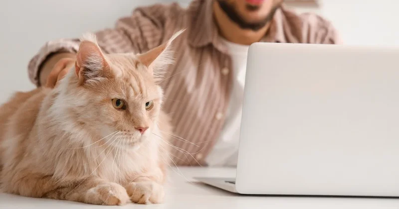 Kadınlara farklı erkeklere farklı davranıyorlar: Sebebini duyunca çok şaşıracaksınız Sözcü Gazetesi