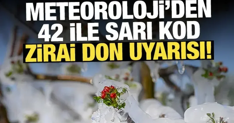Zirai don uyarısı geldi: Meteoroloji den 42 ile sarı kod!