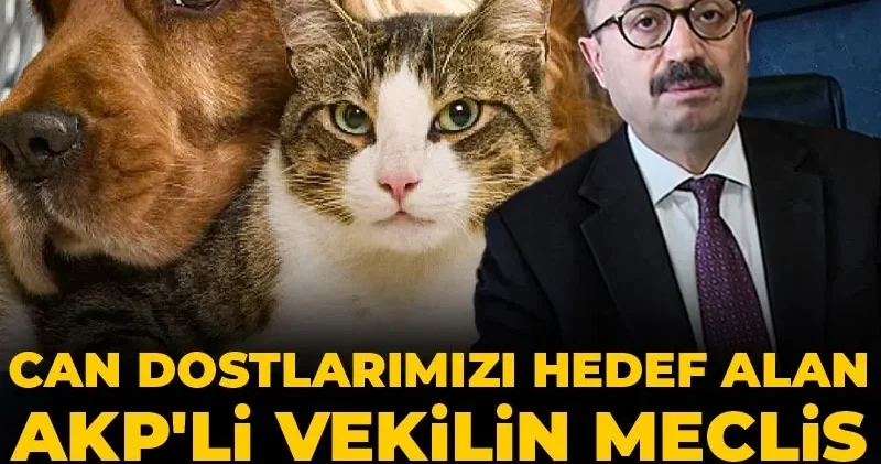 Can dostlarımızı hedef alan AKP li vekilin meclis karnesi şaşırtmadı
