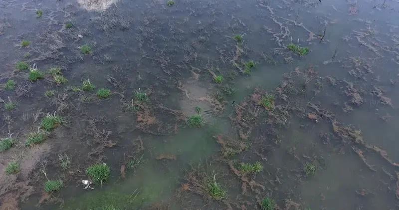 Konya Kapalı Havzası, yıllık yağış miktarını ilk 4 ayda yakaladı