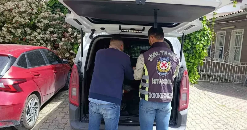 Fatih’te trafikte tartışan sürücüye 180 bin lira ceza
