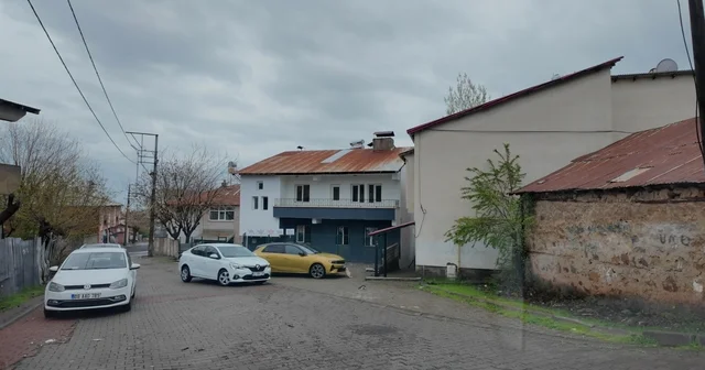 Kurdukları dernekle ev kiralayıp, sokak kedilerine yuva oldular Bingöl Haberleri
