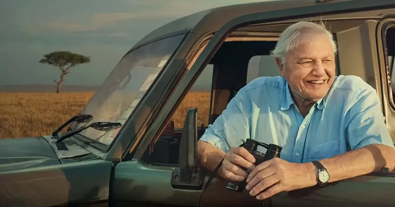 Gezegenin gördüğü en büyük doğa elçisi: David Attenborough 100 yaşında!