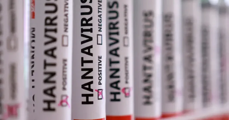 Herkesin aklında tek soru! Hantavirüs insandan insana bulaşır mı?