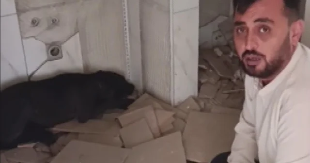Canını hiçe sayan hayvanseverin ağır hasarlı binadan köpeği kurtardığı anlar kamerada Hatay Haberleri
