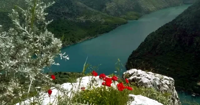 Araban Ovası na bahar geldi Gaziantep Haberleri