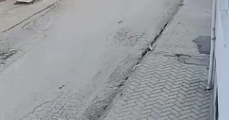 Bir anda koşup havlayan köpek küçük çocuğu korkuttu