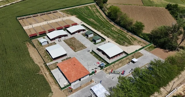 Güney Marmara nın en modern hayvan bakım evi Yenişehir e açıldı Bursa Haberleri
