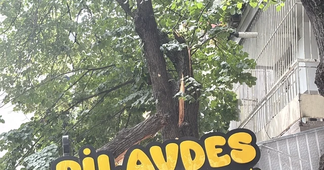 İzmit te lokantanın üzerine devrilen ağaç dalları çatıda hasara yol açtı Kocaeli Haberleri