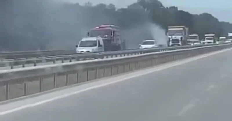 İzmir Bursa kara yolunda alevler korkuttu