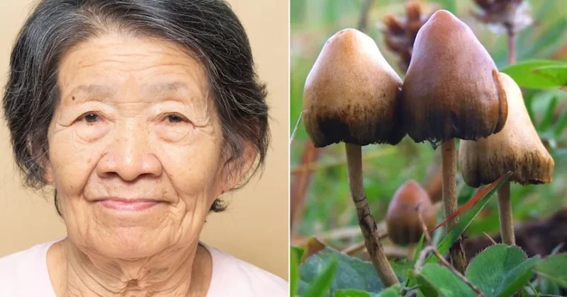 5 yıl boyunca tek kelime etmemişti: Alzheimer hastası yaşlı kadın üzerinde bunu denediler Sözcü Gazetesi