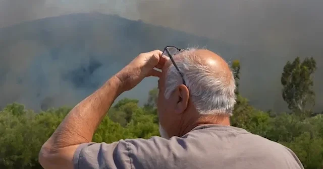 San Diego da orman yangını büyüyor: Yerleşim bölgeleri tahliye ediliyor VİDEO İZLE