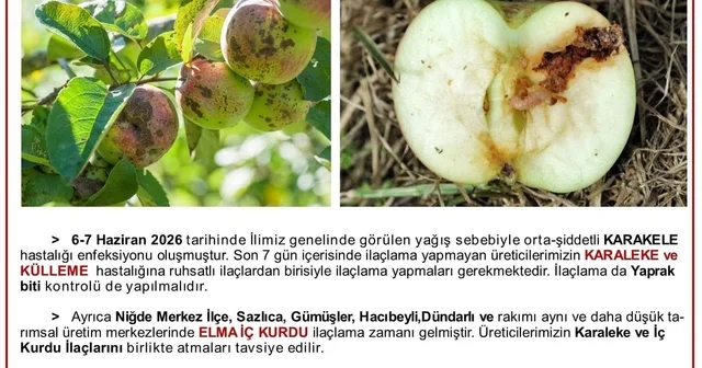 Üreticilere karaleke ve iç kurdu uyarısı Niğde Haberleri