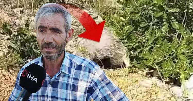 Dünyanın en korkusuz hayvanı Malatyalı ya denk geldi: Saldırısına uğrayınca bayılttı