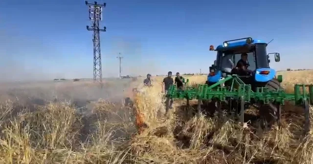 Şanlıurfa da onlarca dönümlük arpa ekili tarla kül oldu Emekleri kül olan çiftçinin feryadı yürekleri dağladı Şanlıurfa Haberleri