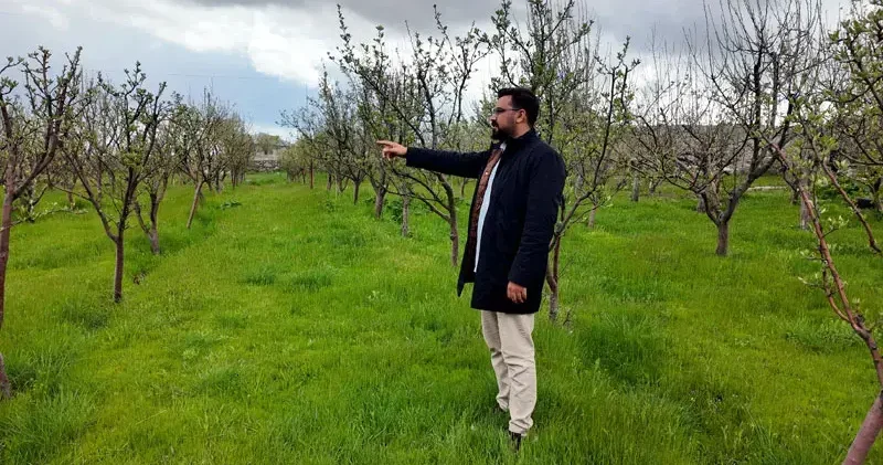 Diş hekimi, memleketine 2 bin ceviz fidanı dikti