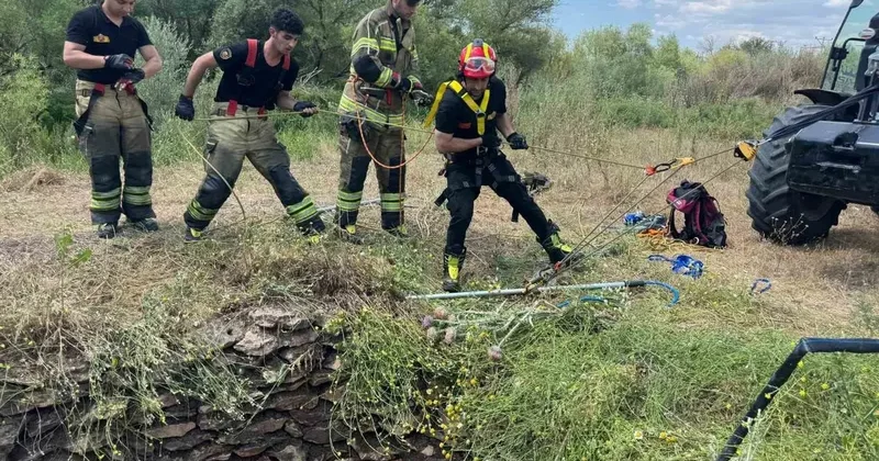 Su kuyusuna düşen yaban domuzu, itfaiye ekiplerince kurtarıldı