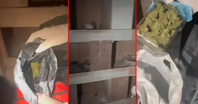 Kağıthane’de kuş kümesine uyuşturucu operasyonu: Teraziyi fazla yem vermemek için kullanıyorum