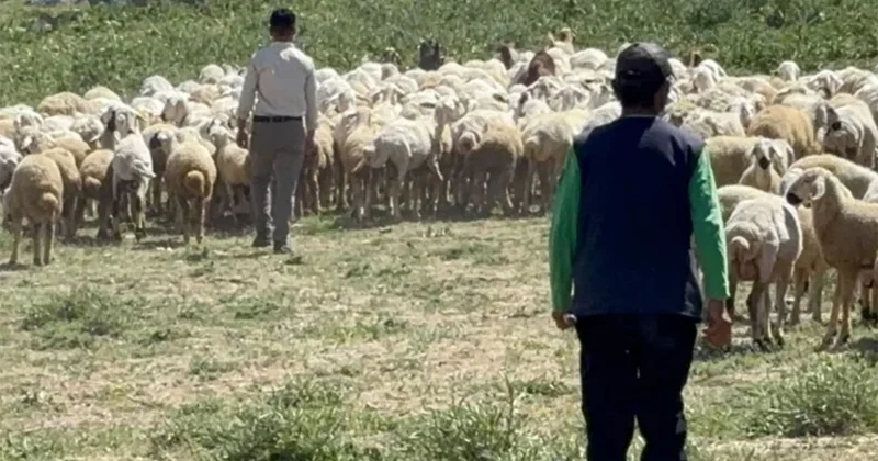 Utanç verici: 180 bin liralık işi asgari ücretle Afgan göçmene yaptırıyorlar