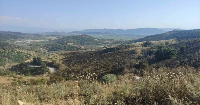 Korkutan orman yangınına havadan ve karadan müdahale Manisa Haberleri