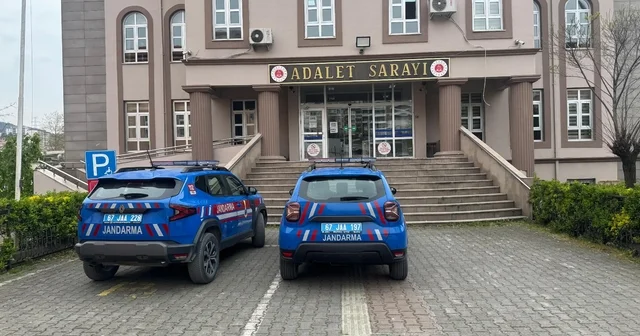 Alaplı da uyuşturucu operasyonunda 7 kök kenevir ve esrar ele geçirildi Zonguldak Haberleri Habertürk Yerel Haberler