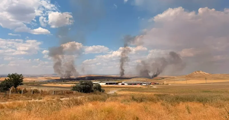 Yozgat ta örtü yangını tarım arazilerine sıçradı